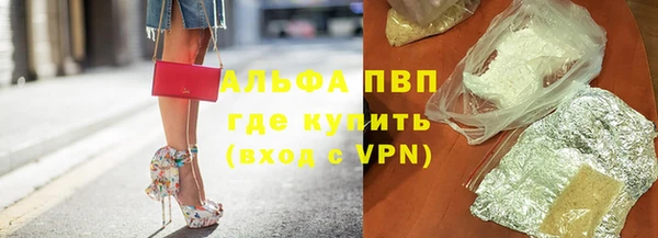 мяу мяу мука Елабуга