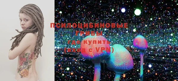 ECSTASY Ельня