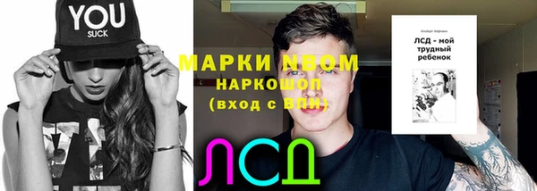 мяу мяу мука Елабуга
