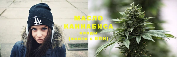 ECSTASY Ельня