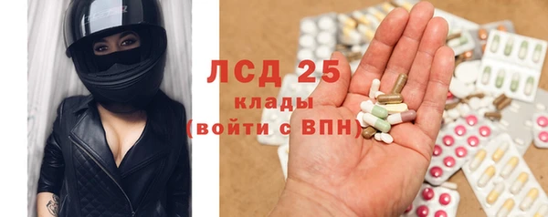 мяу мяу мука Елабуга