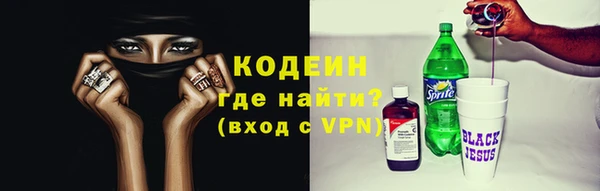 МДПВ Дмитриев