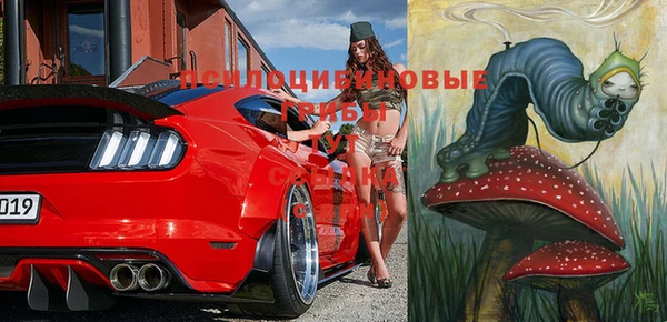 гидра Заволжье