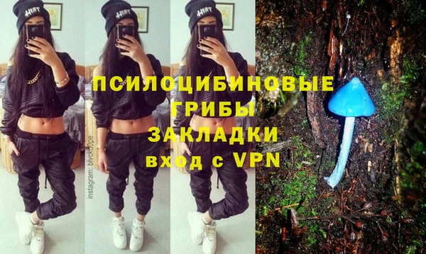 мяу мяу мука Елабуга