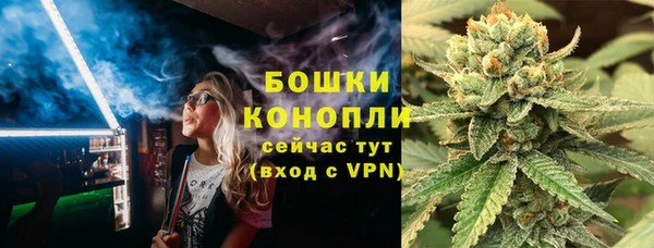 ECSTASY Ельня