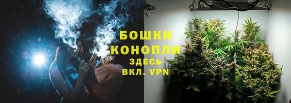 ECSTASY Ельня